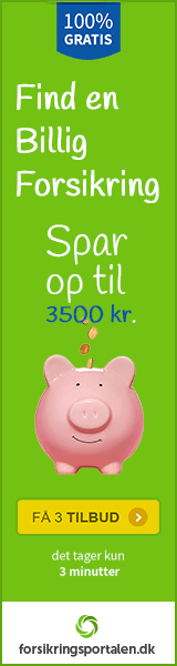 160x600_rejse